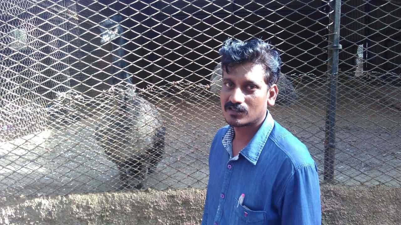 Ramesh K