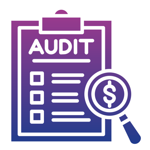 auditing